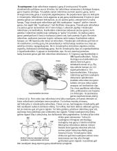 Mikrofonai tinkami BeatBox'ui 3 puslapis