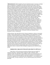 Mikrofonai tinkami BeatBox'ui 4 puslapis