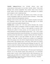 Mindaugo laikų Lietuva - šalies susidarymo priežastys 14 puslapis