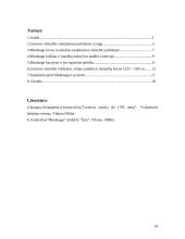 Mindaugo laikų Lietuva - šalies susidarymo priežastys 19 puslapis