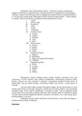 Mitinės būtybės lietuvių tautosakoje 6 puslapis