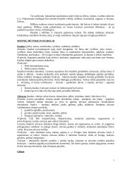 Mitinės būtybės lietuvių tautosakoje 7 puslapis