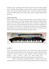 Muzikos instrumentai. Muzikos instrumentų panaudojimas vaikų darželyje 2 puslapis