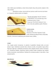 Muzikos instrumentai. Muzikos instrumentų panaudojimas vaikų darželyje 3 puslapis