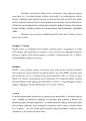 Muzikos instrumentai. Muzikos instrumentų panaudojimas vaikų darželyje 4 puslapis