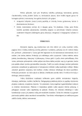Muzikos instrumentai. Muzikos instrumentų panaudojimas vaikų darželyje 5 puslapis