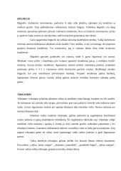 Muzikos instrumentai. Muzikos instrumentų panaudojimas vaikų darželyje 6 puslapis