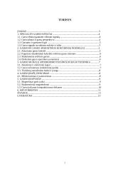 Muzikos įrašymai ir garso aparatūra 2 puslapis