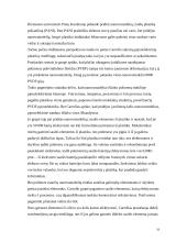 Nanotechnologijos raida 19 puslapis