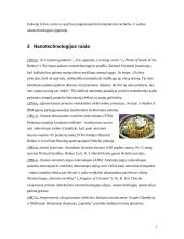 Nanotechnologijos raida 5 puslapis