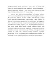 Didžiosios Prancūzijos revoliucijos idėjos, Napoleono Bonaparto karai ir politinė europiečių savimonė 13 puslapis