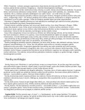 Navikai, jų morfologija 3 puslapis