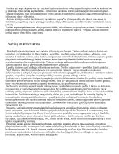 Navikai, jų morfologija 4 puslapis