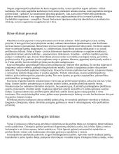 Navikai, jų morfologija 7 puslapis