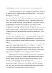 Neolitas Lietuvoje 2 puslapis