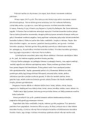 Neolitas Lietuvoje 3 puslapis