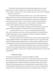 Neolitas Lietuvoje 4 puslapis