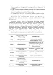 Nevaisingumo samprata, priežastys, rūšys 13 puslapis