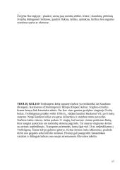 Norvegijos Karalystė 17 puslapis