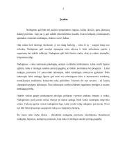 Nudegimai ir jų pirmoji pagalba 3 puslapis