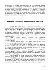 Operacinė sistema MS-DOS 10 puslapis