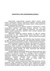 Operacinė sistema MS-DOS 2 puslapis