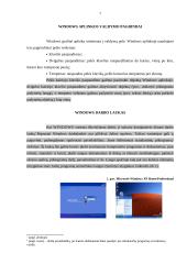 Viskas apie operacinę sistemą Windows XP 6 puslapis