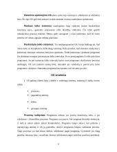 Operacinės sistemos (OS) 6 puslapis