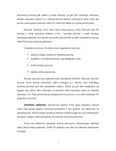 Operacinės sistemos (OS) 7 puslapis