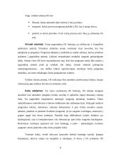 Operacinės sistemos (OS) 8 puslapis