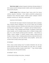 Operacinės sistemos (OS) 10 puslapis