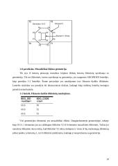 Oracle Spatial naudojimas geografinėse informacinėse sistemose 19 puslapis
