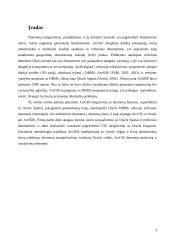 Oracle Spatial naudojimas geografinėse informacinėse sistemose 3 puslapis