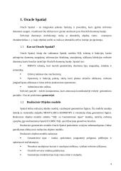 Oracle Spatial naudojimas geografinėse informacinėse sistemose 4 puslapis