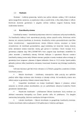 Oracle Spatial naudojimas geografinėse informacinėse sistemose 8 puslapis