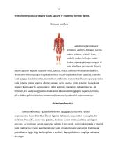 Osteochondropatija 2 puslapis
