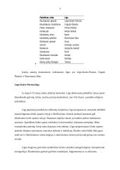 Osteochondropatija 3 puslapis