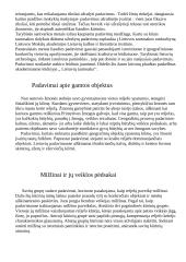 Padavimai tautosakoje 4 puslapis