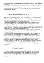 Padavimai tautosakoje 8 puslapis