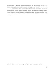 Pagonybės kulto vietos Lietuvoje 13 puslapis