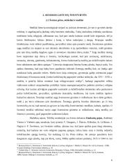 Pagonybės kulto vietos Lietuvoje 5 puslapis