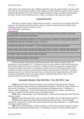 Pagrindinės DOS komandos 4 puslapis