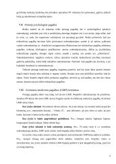 Pagrindinės pirmosios pagalbos suteikimo taisyklės 9 puslapis