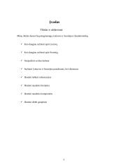 Palyginamoji Lietuvos ir Suomijos charakteristika 3 puslapis