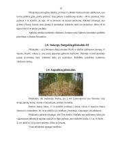 Panemunės nežinomi piliakalniai 18 puslapis