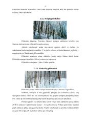 Panemunės nežinomi piliakalniai 20 puslapis