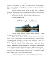 Panemunės nežinomi piliakalniai 6 puslapis