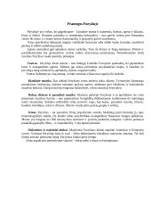 Paryžius ir turizmas 16 puslapis