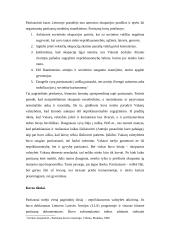 Partizanai 3 puslapis