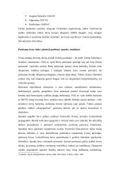 Partizanai 5 puslapis